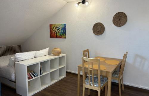 Soundproof Studio Geneva Airport 10 min and UN 20 min - Foto 8