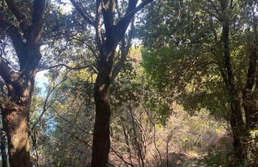 ''Mary's House'' Entire residence Olympiada Halkidiki Near to Sea 200m ! - Foto 68