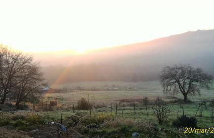 L'Albero degli Struzzi - Foto 9