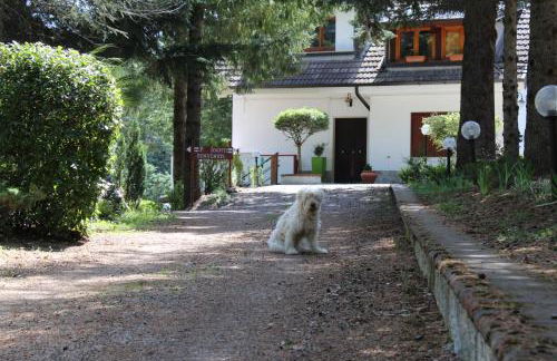 Le Conifere - Foto 8