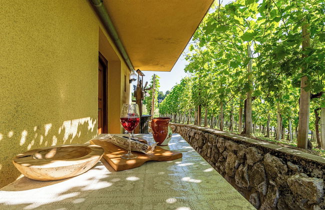 Vineyard Cottage Hocevar With Sauna - Photo 19