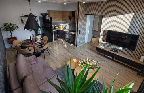 Apartamenty Częstochowa pod Jasną Górą Teresy 4-2 parking gratis - Photo 49