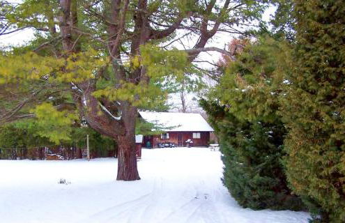 Rustic Cabin Rental on a Wildlife Sanctuary in Manistee, Michigan - Foto 22