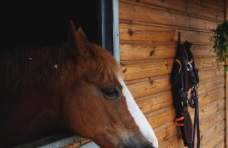 Large Country House with Hot Tub, Pool Table, and Log Burner - Photo 19