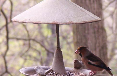 La Traversina - Agriturismo di Charme - Foto 61