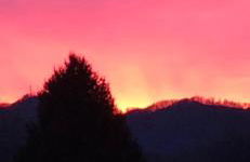 Maple Street Overlook - Foto 6