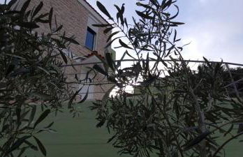 Πέτρα, Ελιά και Λεβάντα - Foto 25