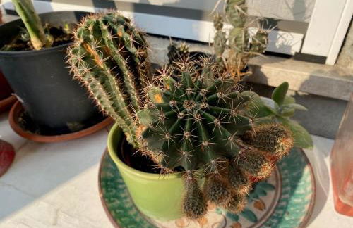 Magie Milano Tortona District-Navigli - Foto 44