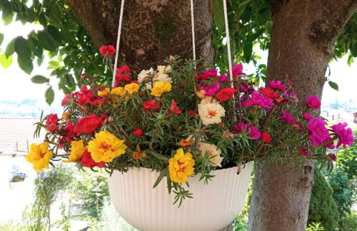 Las Tres Tajanas - Foto 9