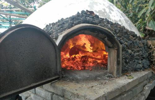 Finca LOS AGUACATES - Foto 4