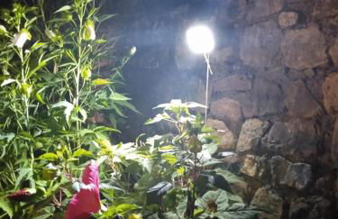 A Cà; Gialla - Foto 26