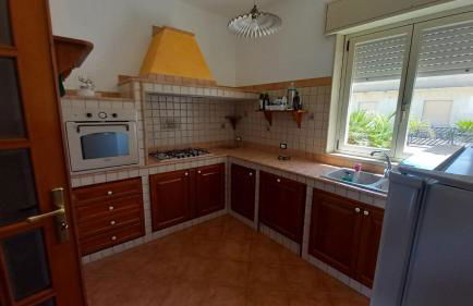 Lemon Gold - Foto 20