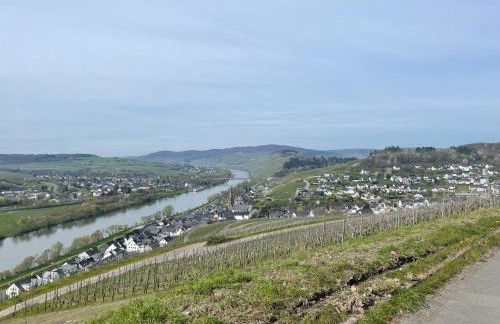 Moderne Ferienwohnung Zur Schlosshöhe - Foto 43