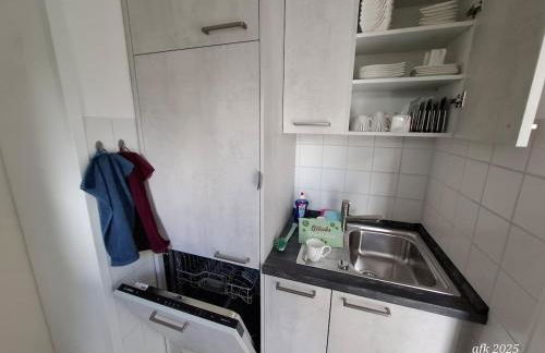 Casa-Flores, um"Schwarzes Gold" zu erkunden - Foto 4