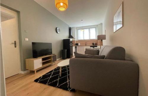 Centre Ville Superbe T2 Neuf Wifi Terrasse Netflix - Foto 11