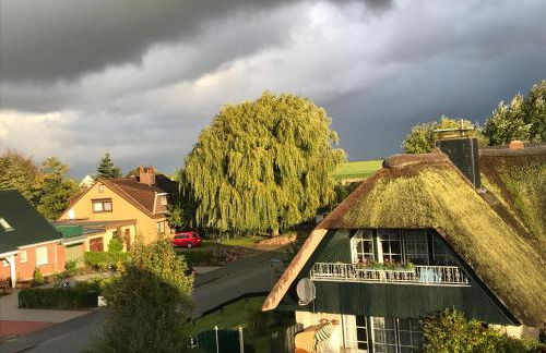 Capt'n Eike - Foto 12