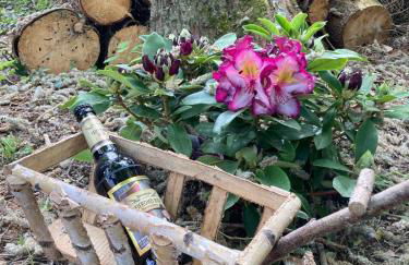 Ferienhaus Fuxbau - Foto 55