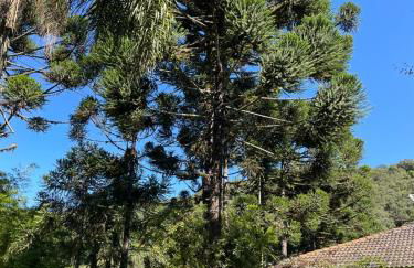 Memora Guesthouse Bateias - Casa Inteira e quartos em chácara - Photo 53