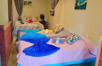 Estrela da noite - Foto 22