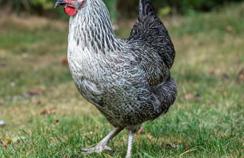 Little Willow Bank - 1 bed luxury apartment between Salisbury and The New Forest - Foto 63