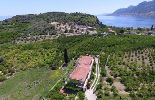 Το Είδωλον - Foto 6