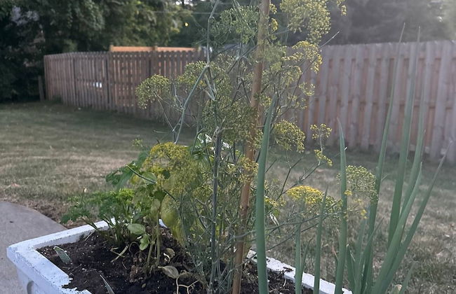 Luxury Modern Stay - 2000 Sqft - Foto 2