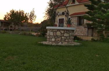 Κτήμα Κουρλή - Photo 12