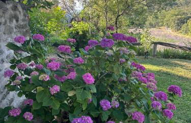 Les goûts et les couleurs - Foto 43