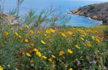 Rafina's PARADISE VIEW!!Walking access to the Port!!! Amazing Seaview!!!Steps from the Beach, 2 min walk!!WIFI 300Mbps! The Lux Seaside Retreat! - Foto 22