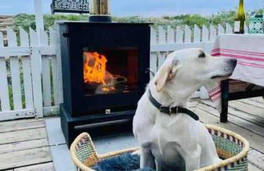 A unique, off-grid Eco Friendly Beach House. - Foto 44