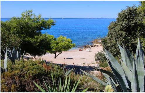 Apartment Katarina and house Marieta - Photo 39