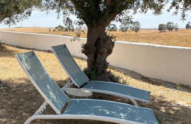 Canto da Planície - Foto 56