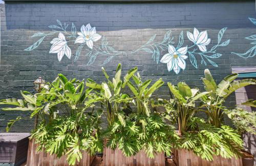 Saint Claude Stunner - Foto 32