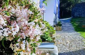 El Cuadro de Llanes - Photo 5