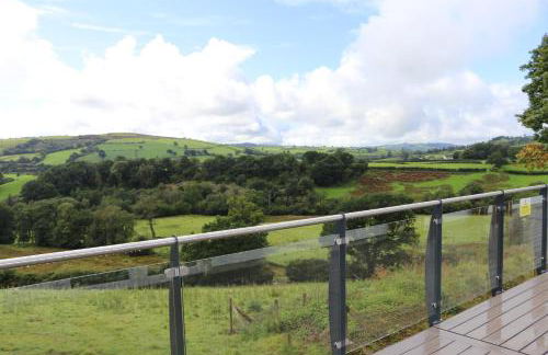 Llwynblyfyn - Foto 8