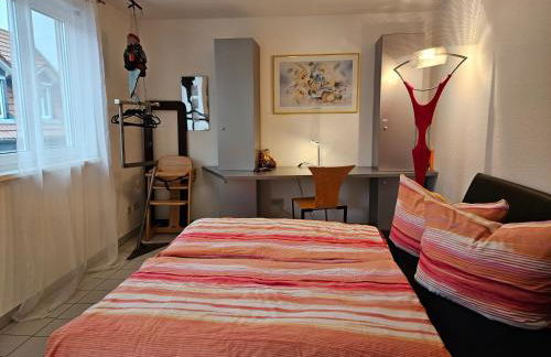 Komfortables 3-Zimmer Apartment in Schwetzingen zwischen Mannheim und Heidelberg - Foto 8