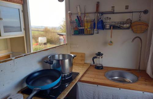 Freilandhof - Foto 69