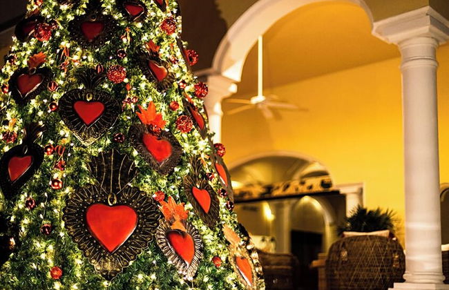 Casa Velas Adults Only All Inclusive - Foto 61