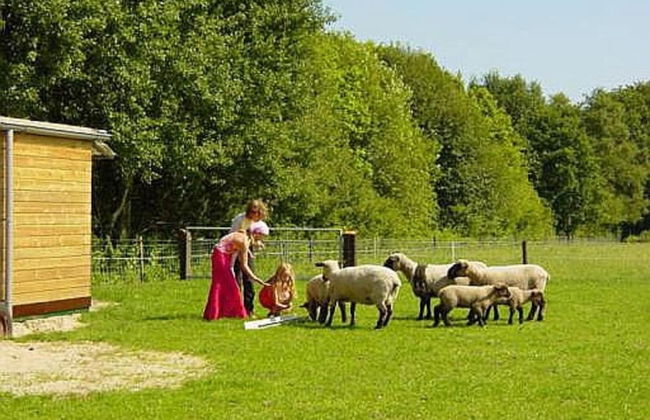 Homely Apartment in Noordwolde With Balcony - Foto 70