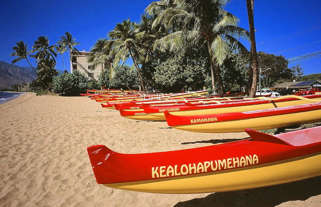 Hono Kai A10 - Foto 14