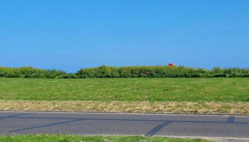 Driftwood, Ground floor 1 bedroom flat - Foto 3