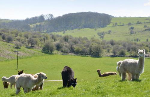 Ramscliff Cottage - Foto 13