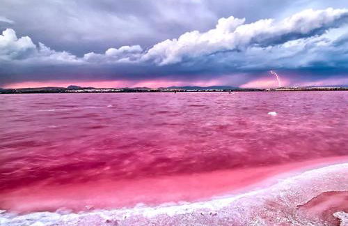 Apartament La Mata - Photo 53