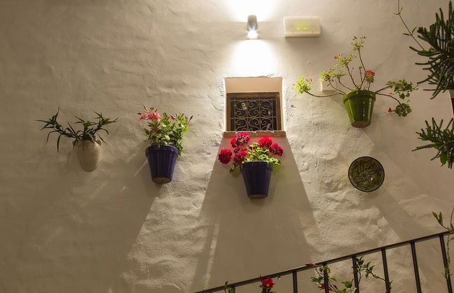 Habitaciones y Apartamentos en el centro La Jábega by Conil Home - Photo 159