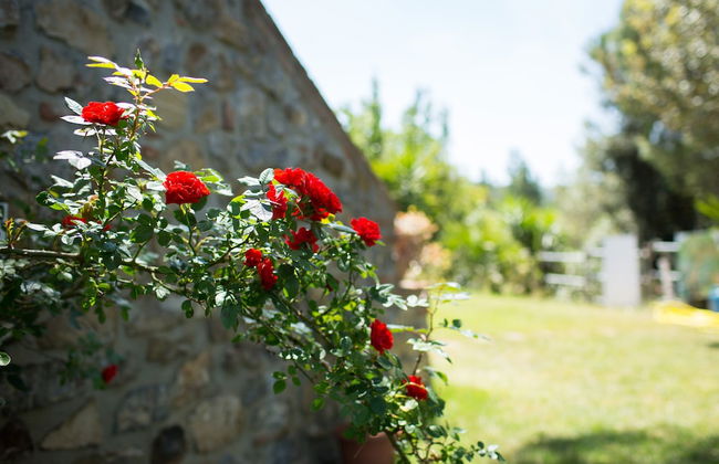 Serraiola Alta - Foto 77