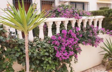 APARTAMENTOS ROSI - 5-10 Minute Walk To La Zenia Beach, Sea View, Beach Bar, Cliff Walk, Shops, Paddys Point, Cabo Roig - Free fast Fibre Optic Broadband, Free Parking - Foto 17