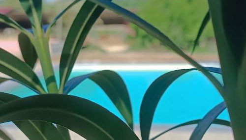 Biobagnolese Agriturismo - Foto 3