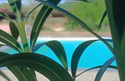 Biobagnolese Agriturismo - Foto 3