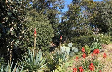 Villa Lilause - Foto 33