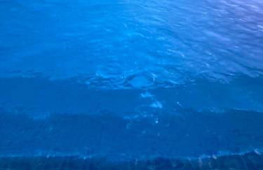 Monte das Cerejas - Foto 15